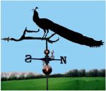 Peacock Orbital Weathervane