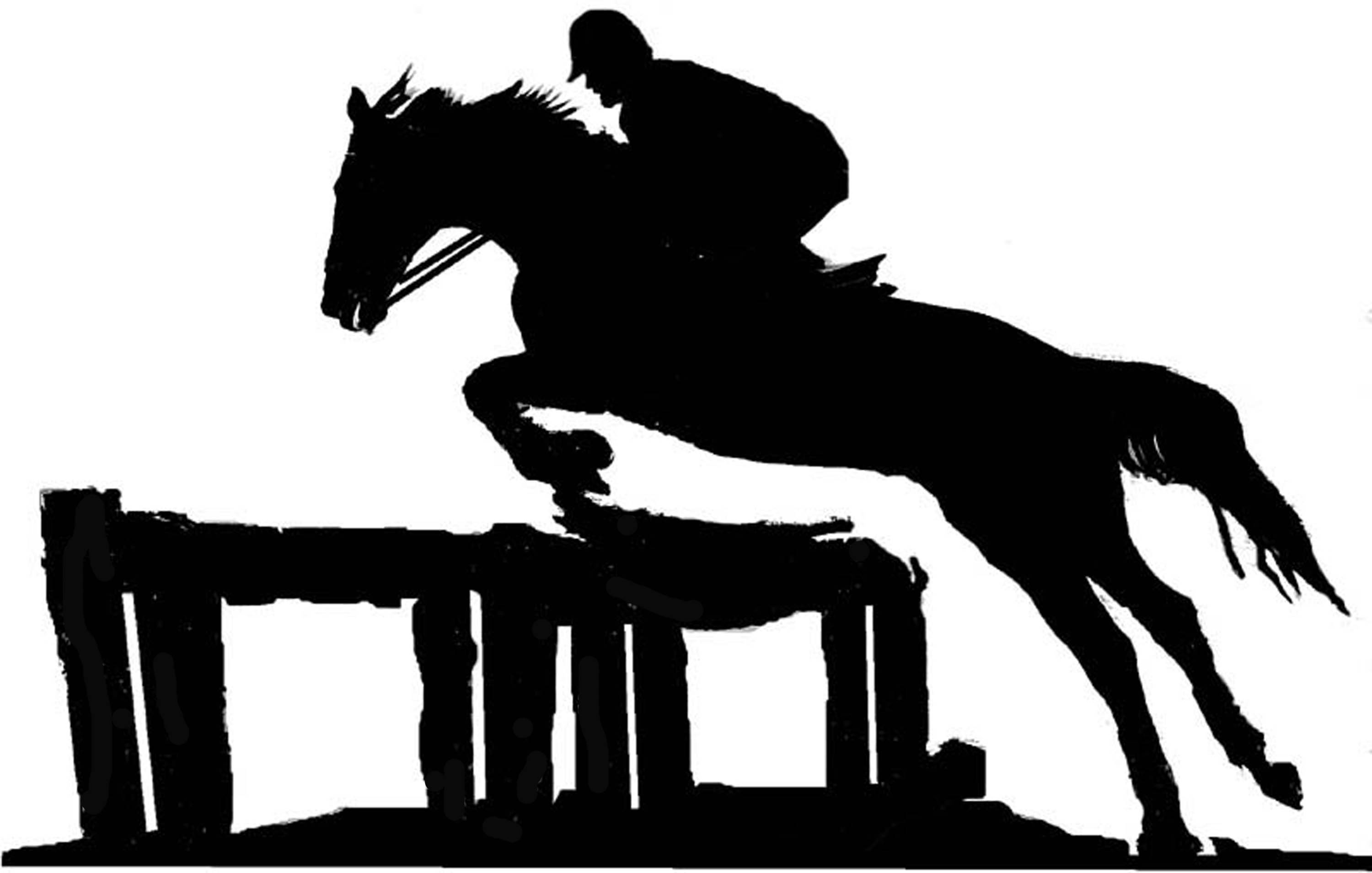 steel horse show jumping weathervane or sign profile laser cut 462mm